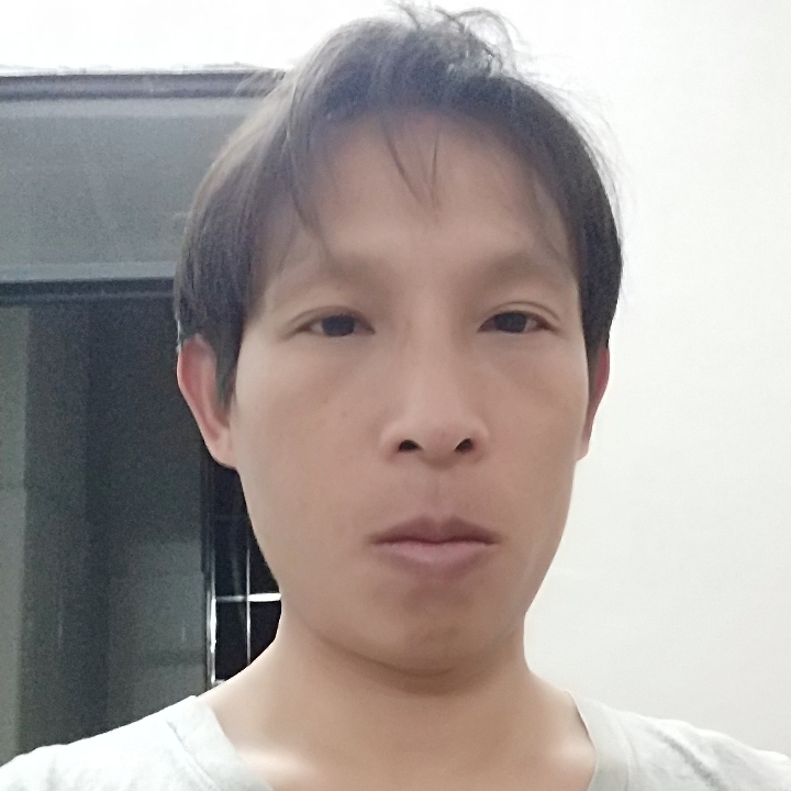 麦片可爱的照片