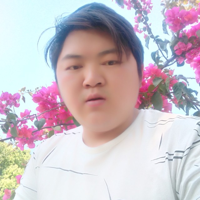 黄蜂就傲娇的照片