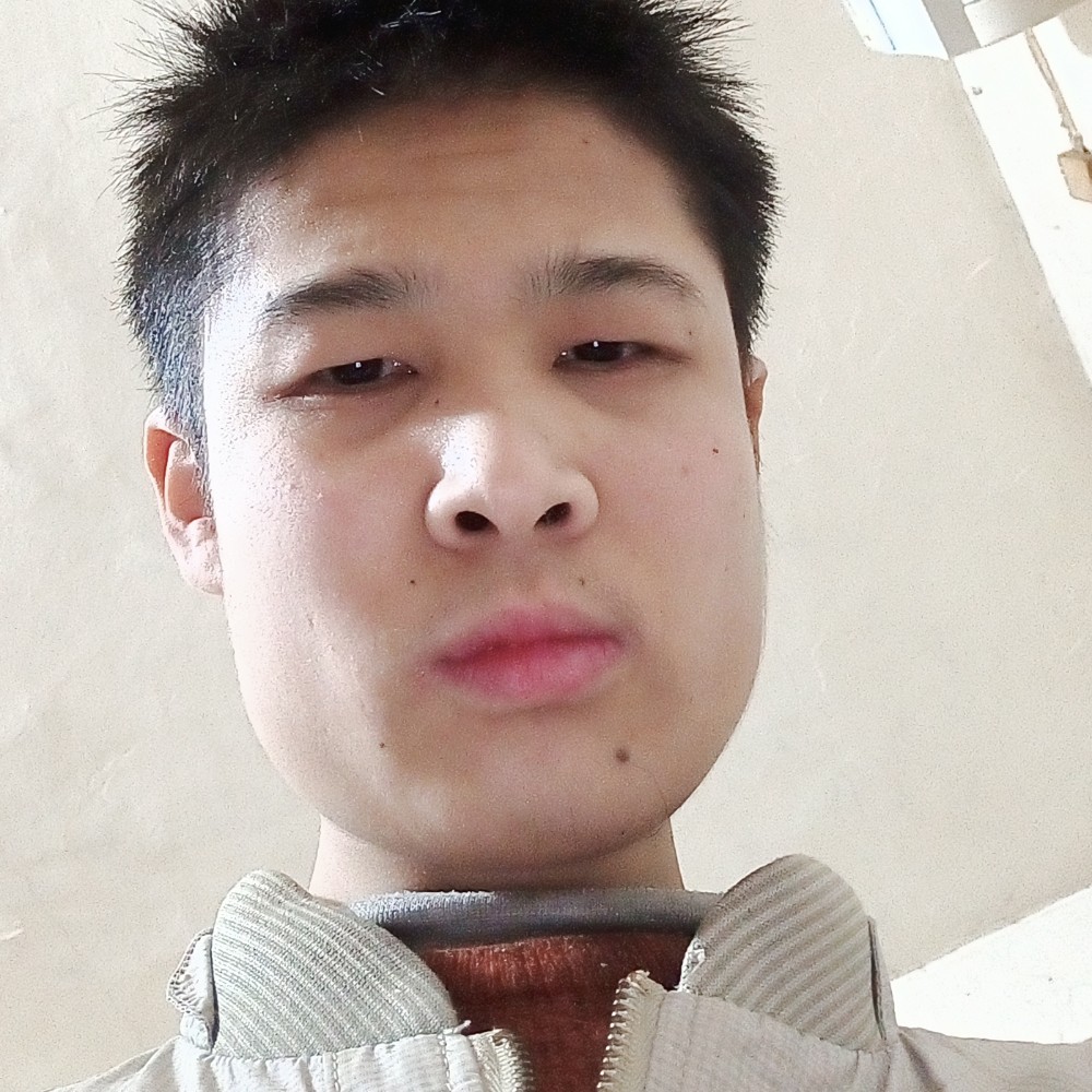 含羞草扯小巧的照片