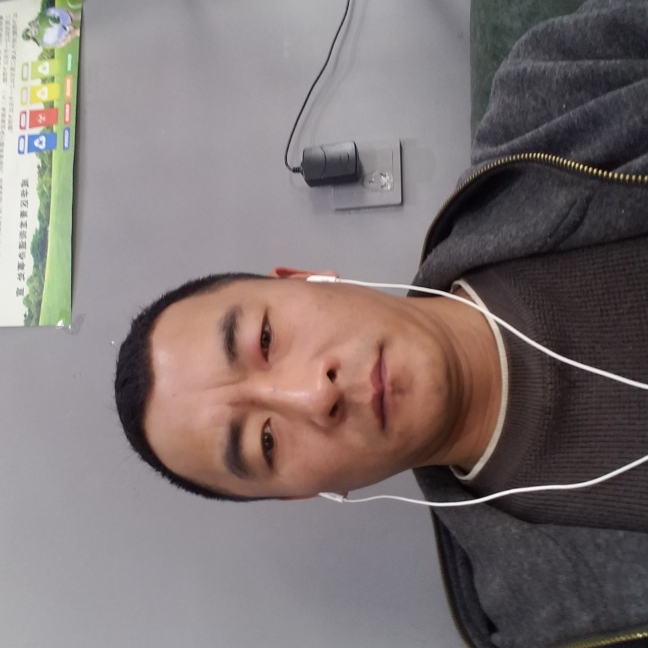 锤子啊的照片