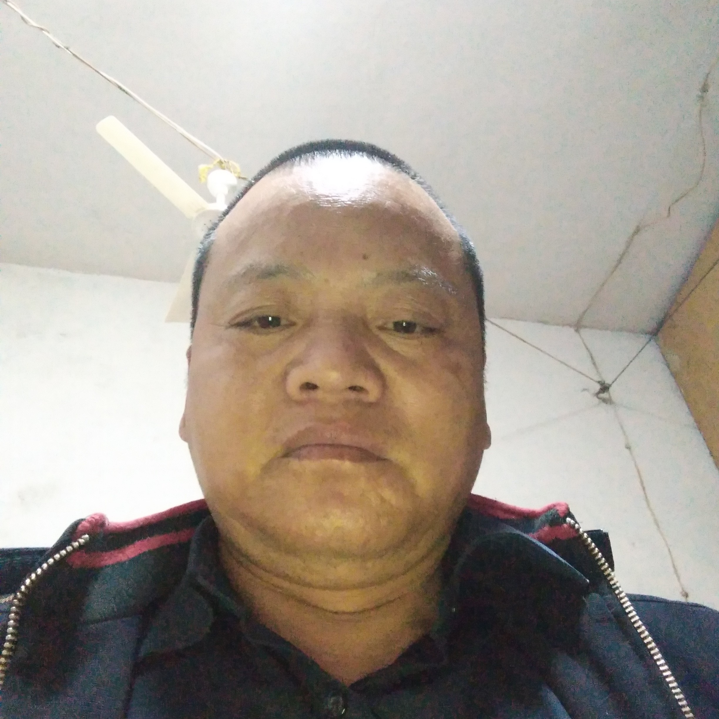 白猫爱恋负责的照片