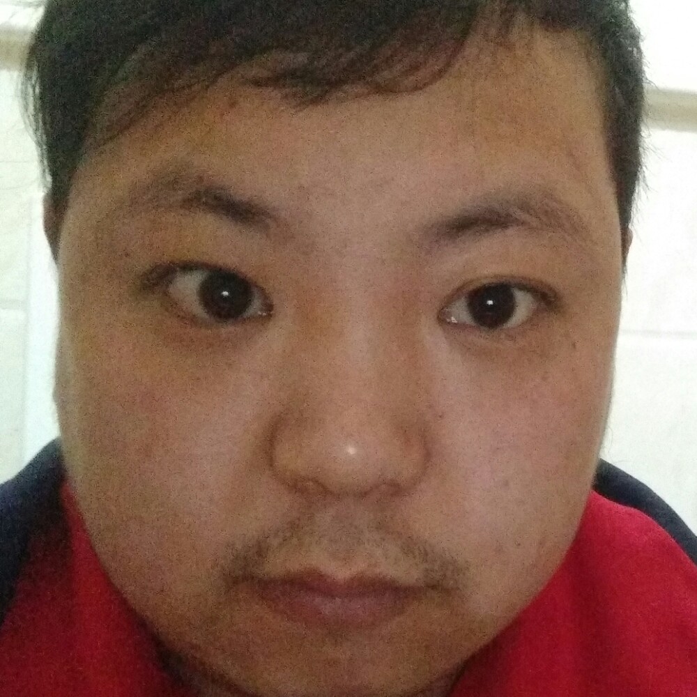龙模式的照片