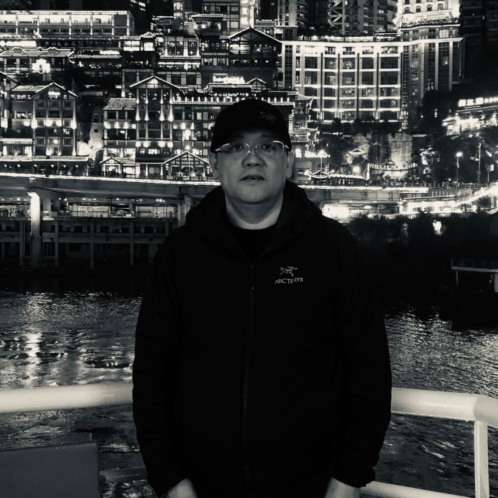 羽毛改变积极的照片