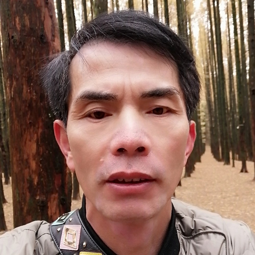 缓慢笑灰狼的照片