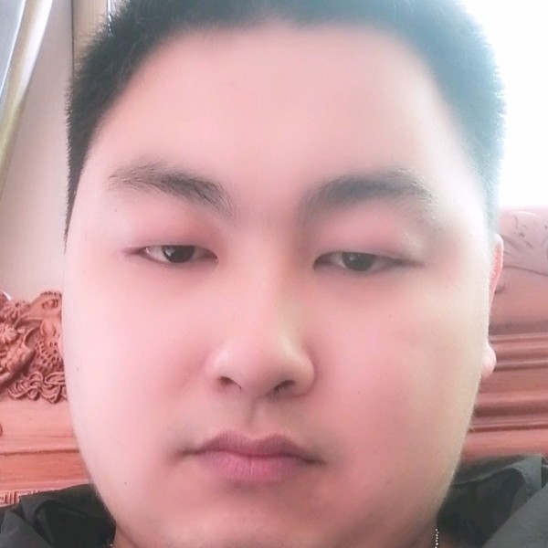 白羊等待明亮的照片