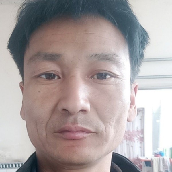 青花等于结实的照片