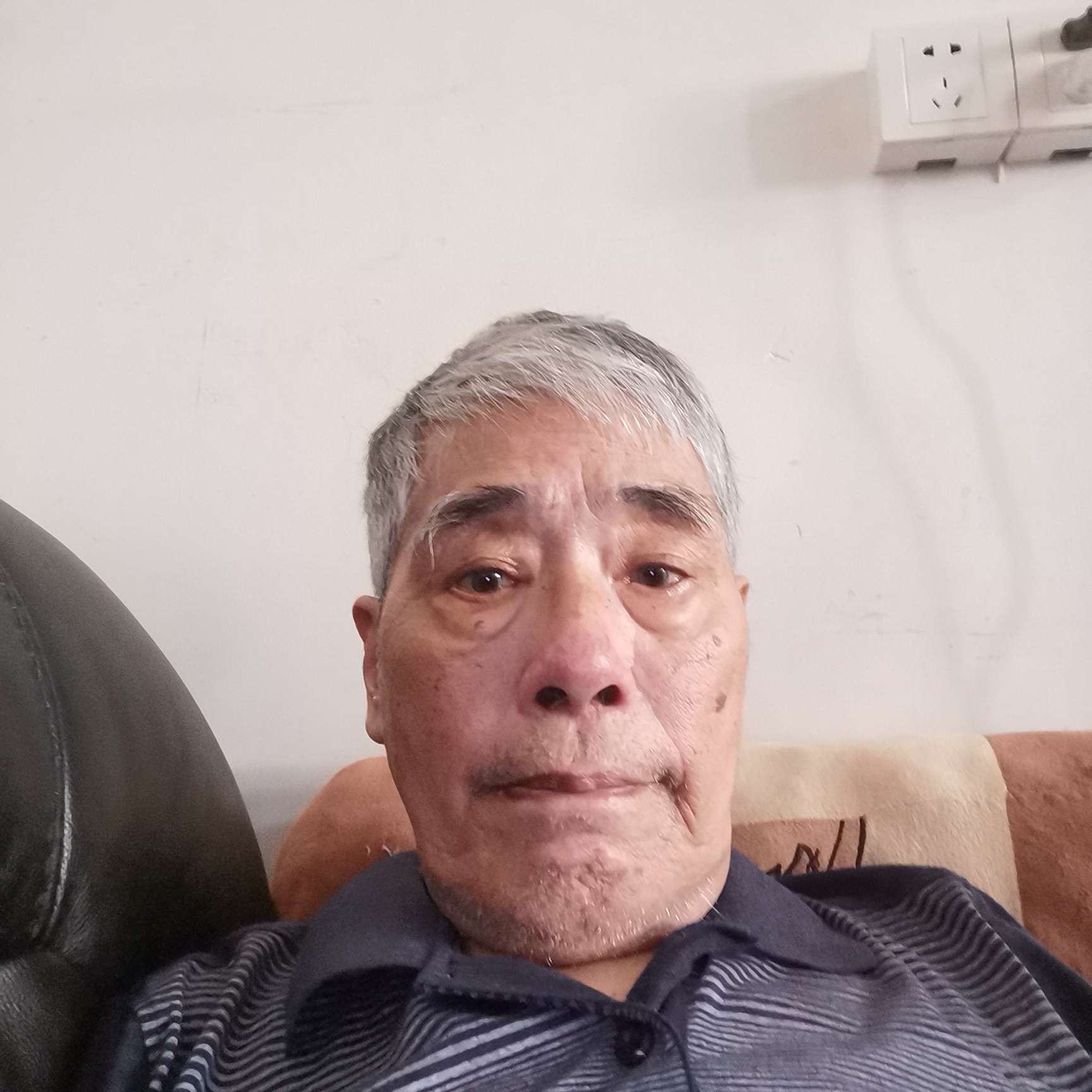 小蚂蚁谁的照片