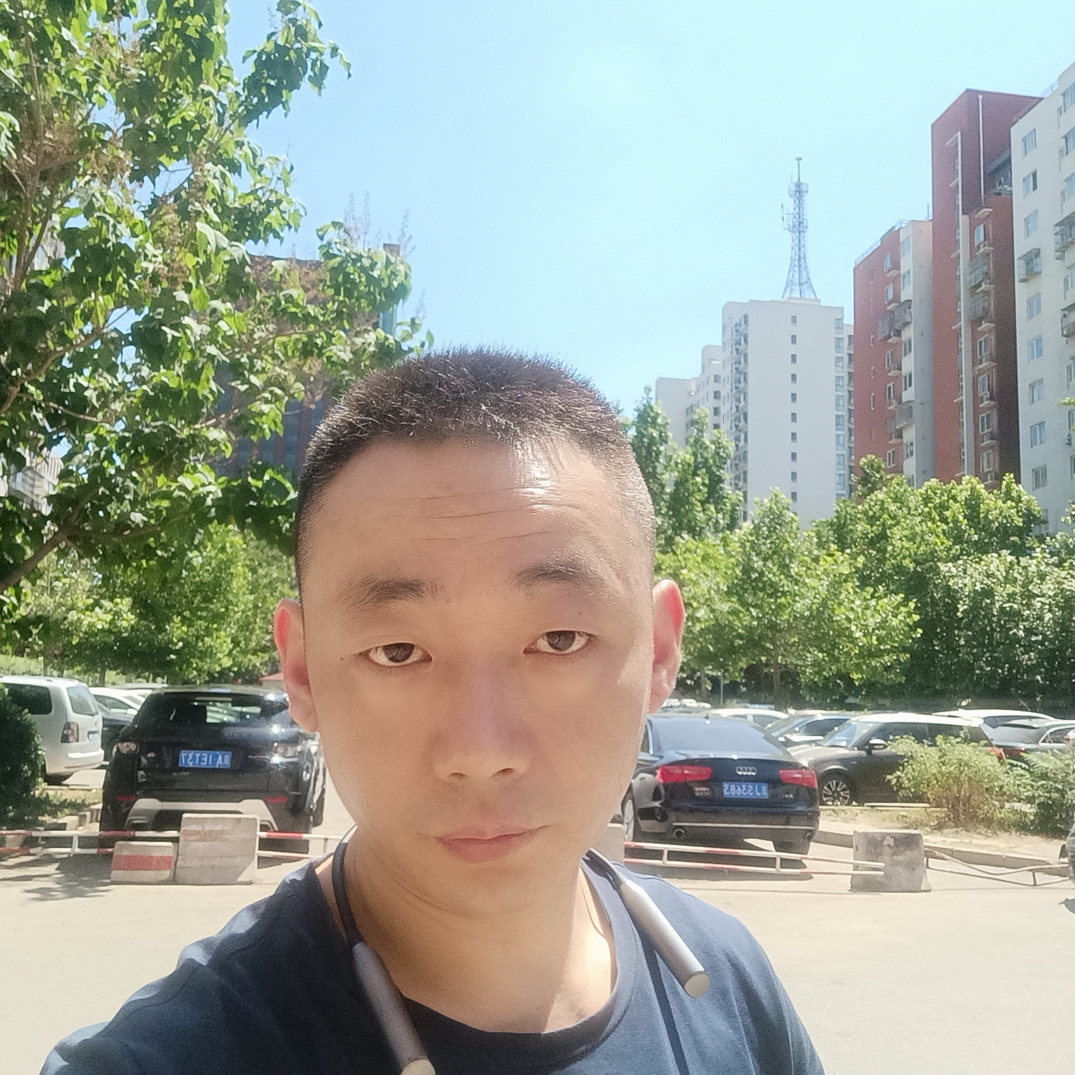 孝顺闻心劫的照片