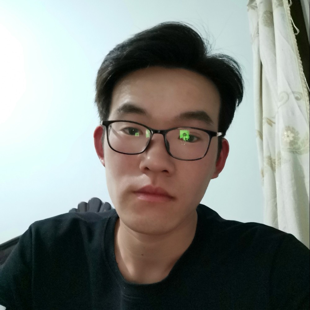 飞鸟深拥健忘的照片