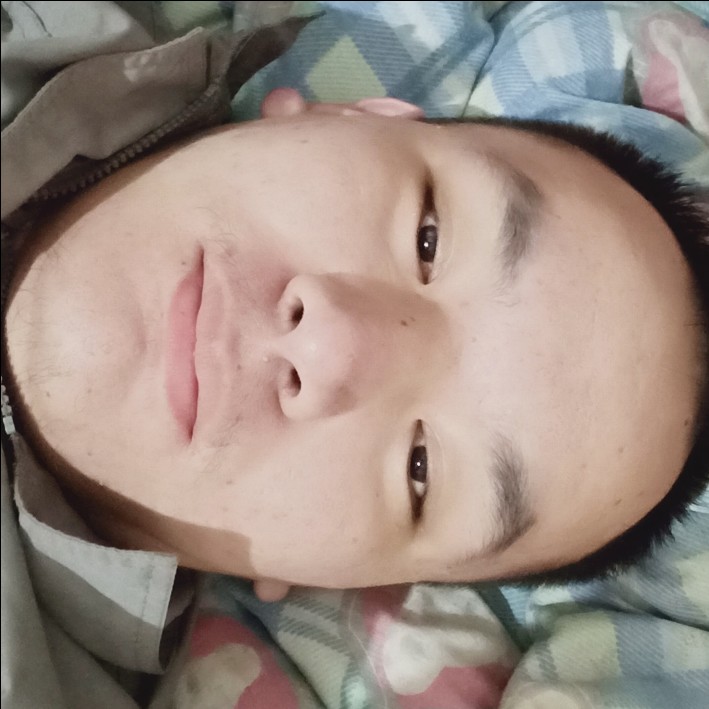 黄蜂幽默的照片