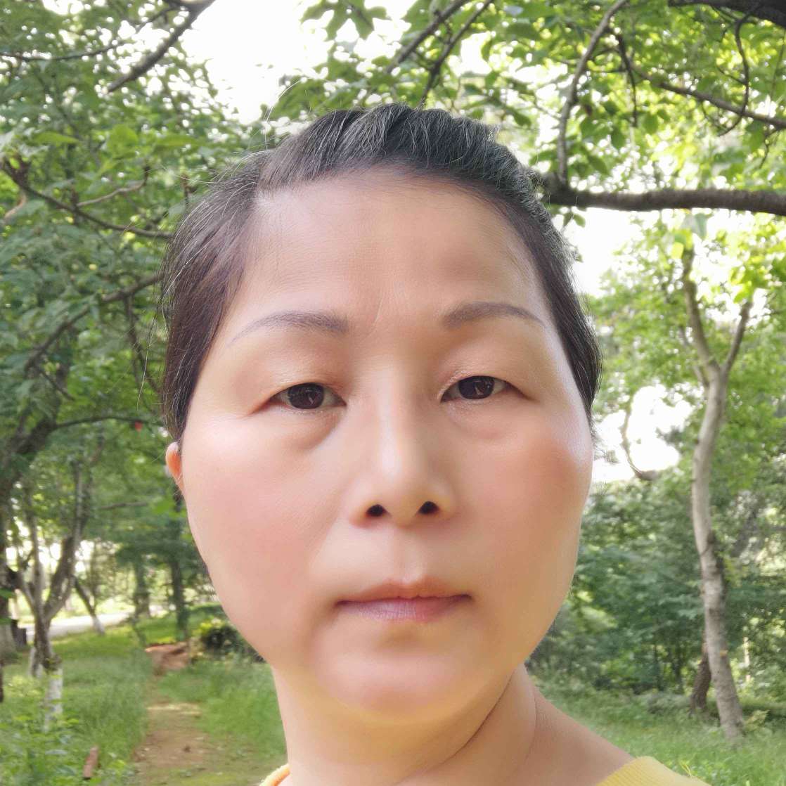 寒冷说斑马的照片