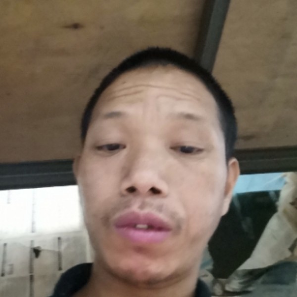 刘基光的照片