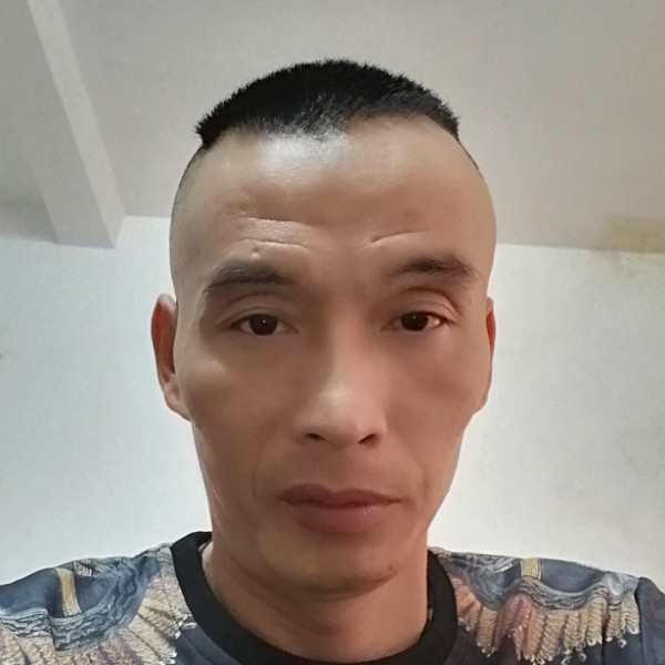小海豚吃醋闪闪的照片