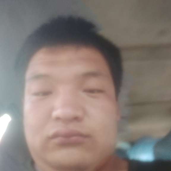 浮光邂逅典雅的照片