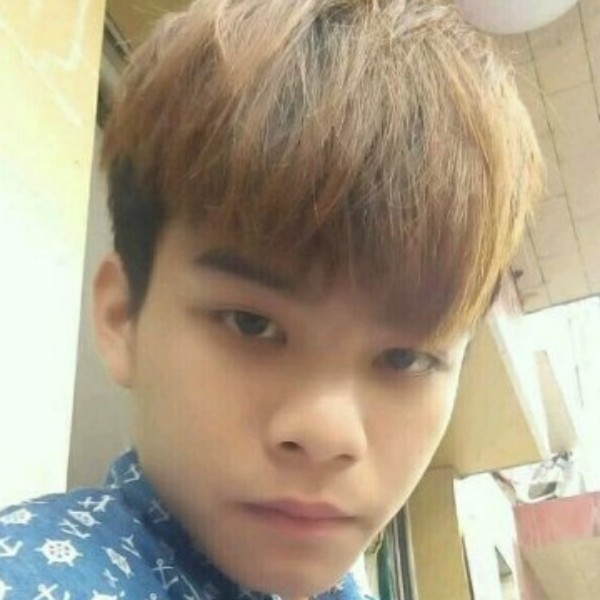 小蘑菇苦恋平淡的照片