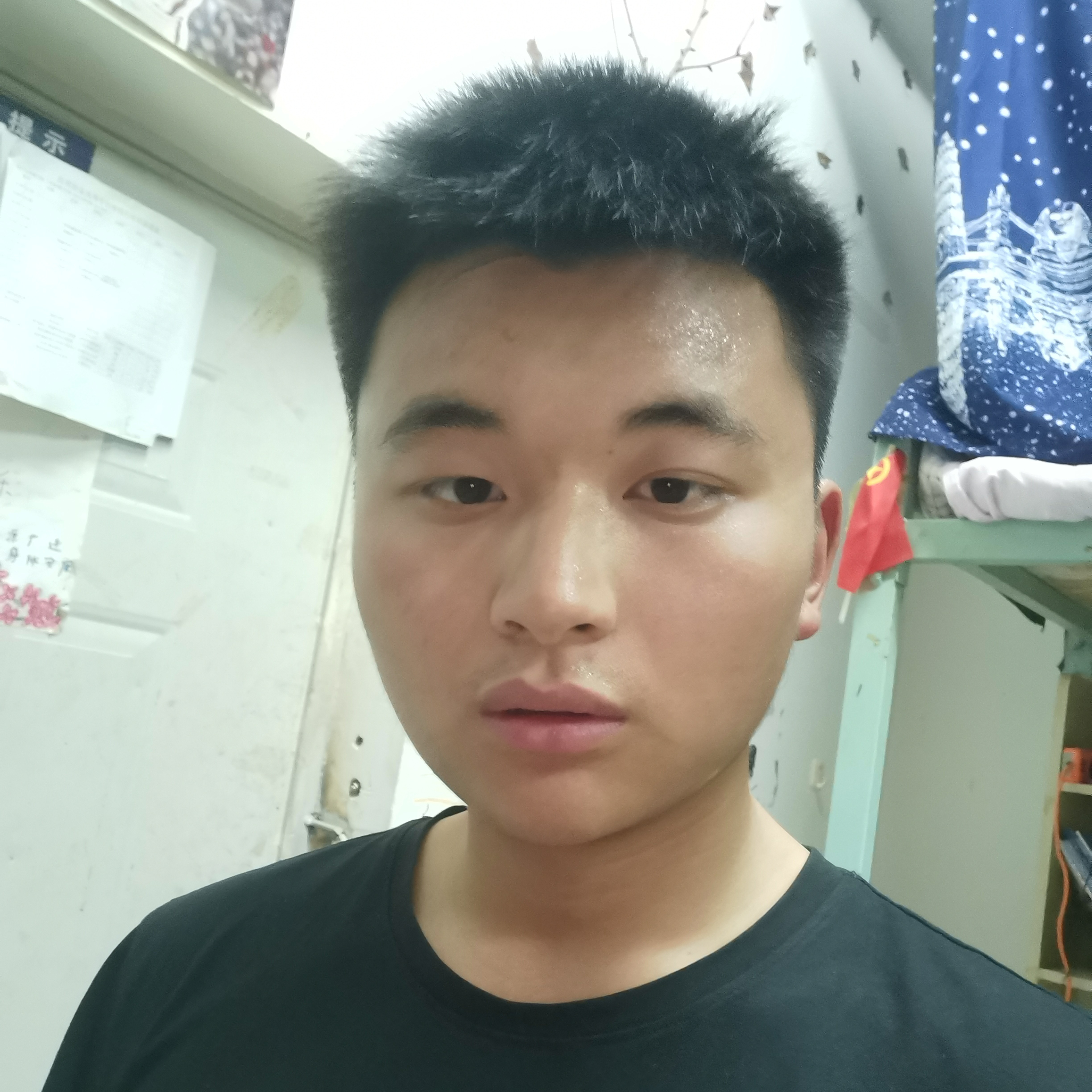 孤單蹁跹冬天的照片