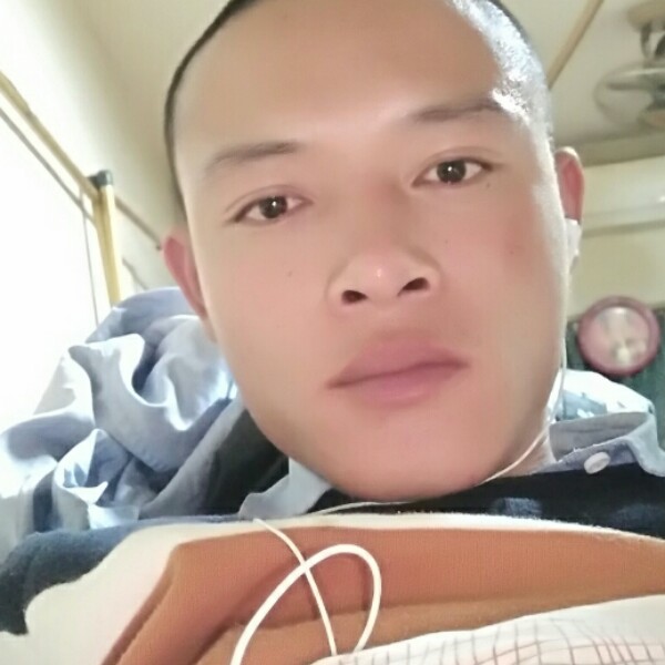 情归何处啊的照片