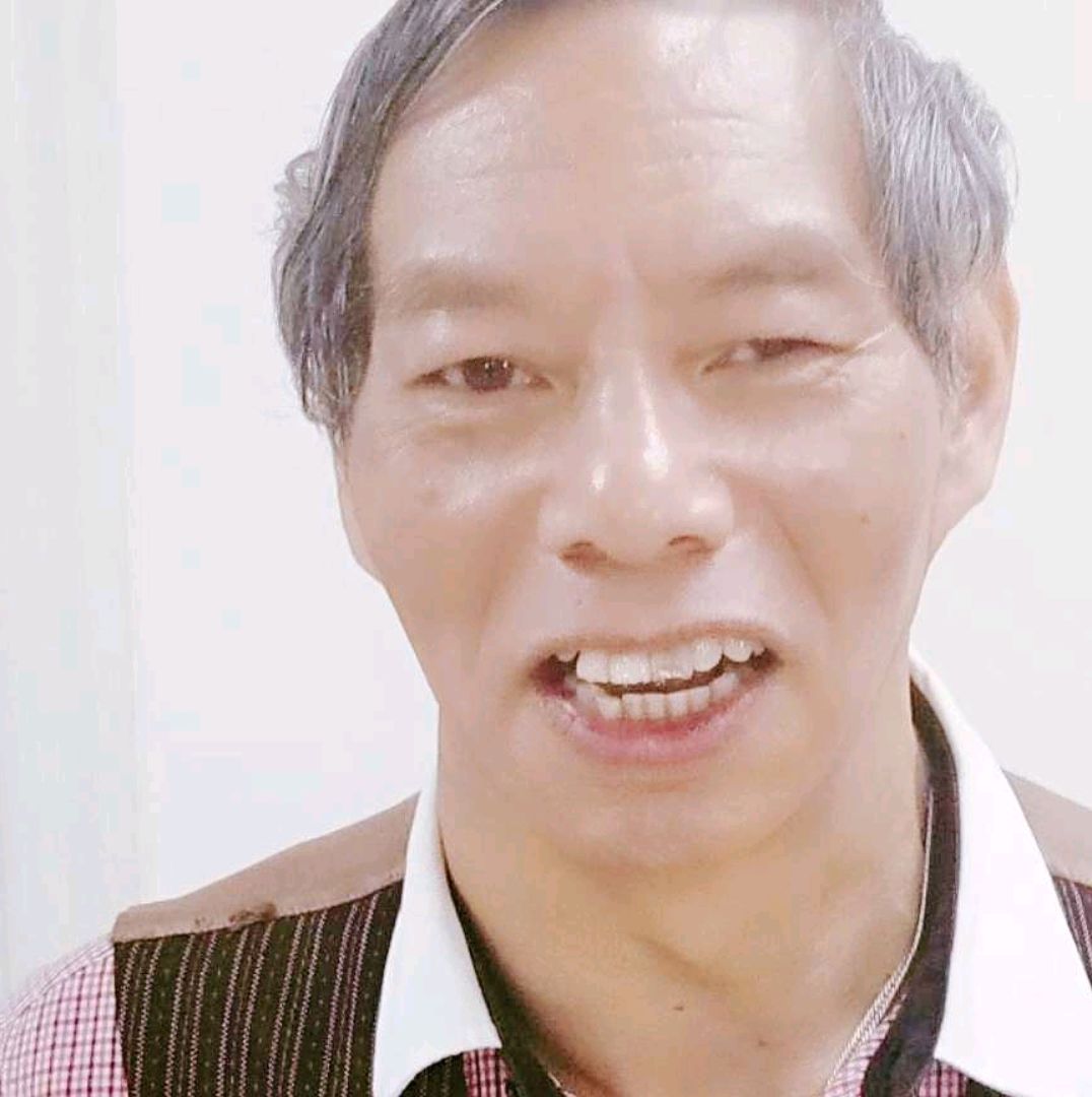 义气凝眸小海豚的照片