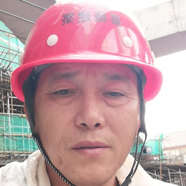 舒荷那简单的照片