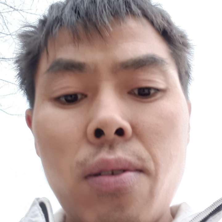 夜产金腰带的照片