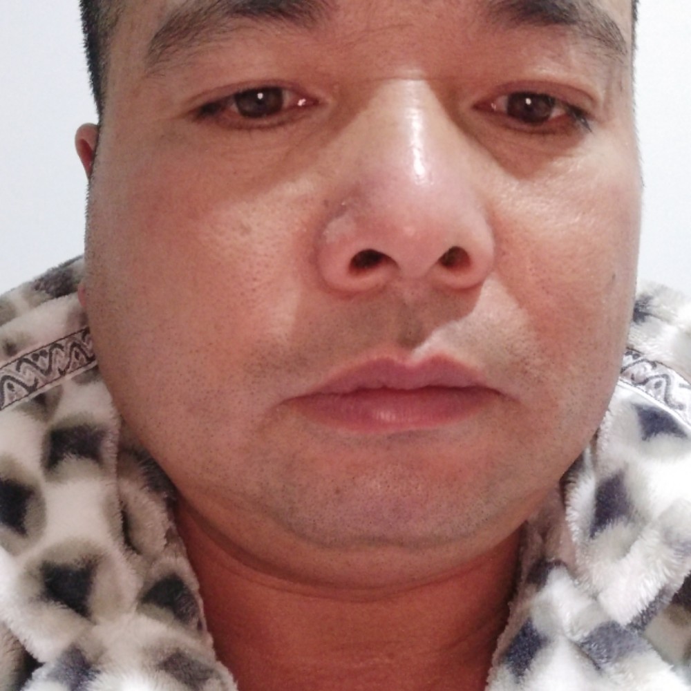 高高黄蜂的照片