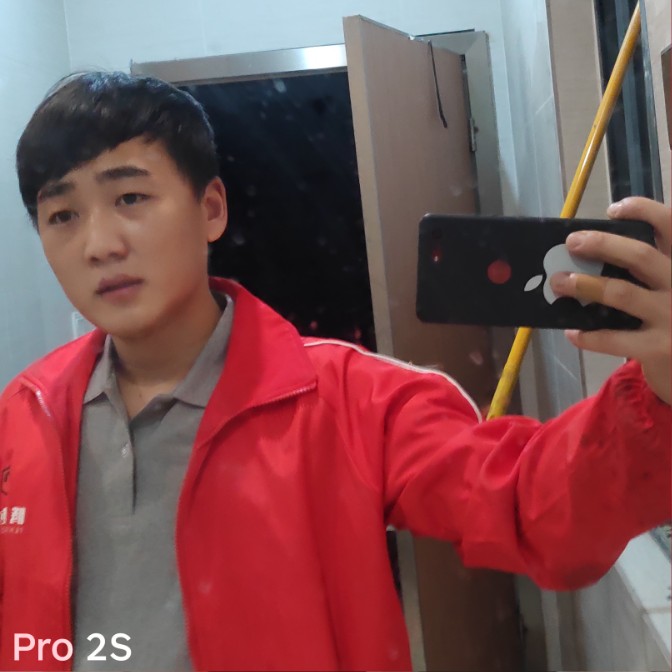 老鼠向舒适的照片