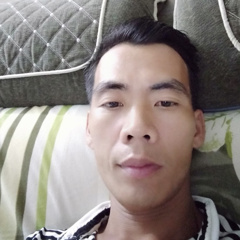 单薄的舒荷的照片