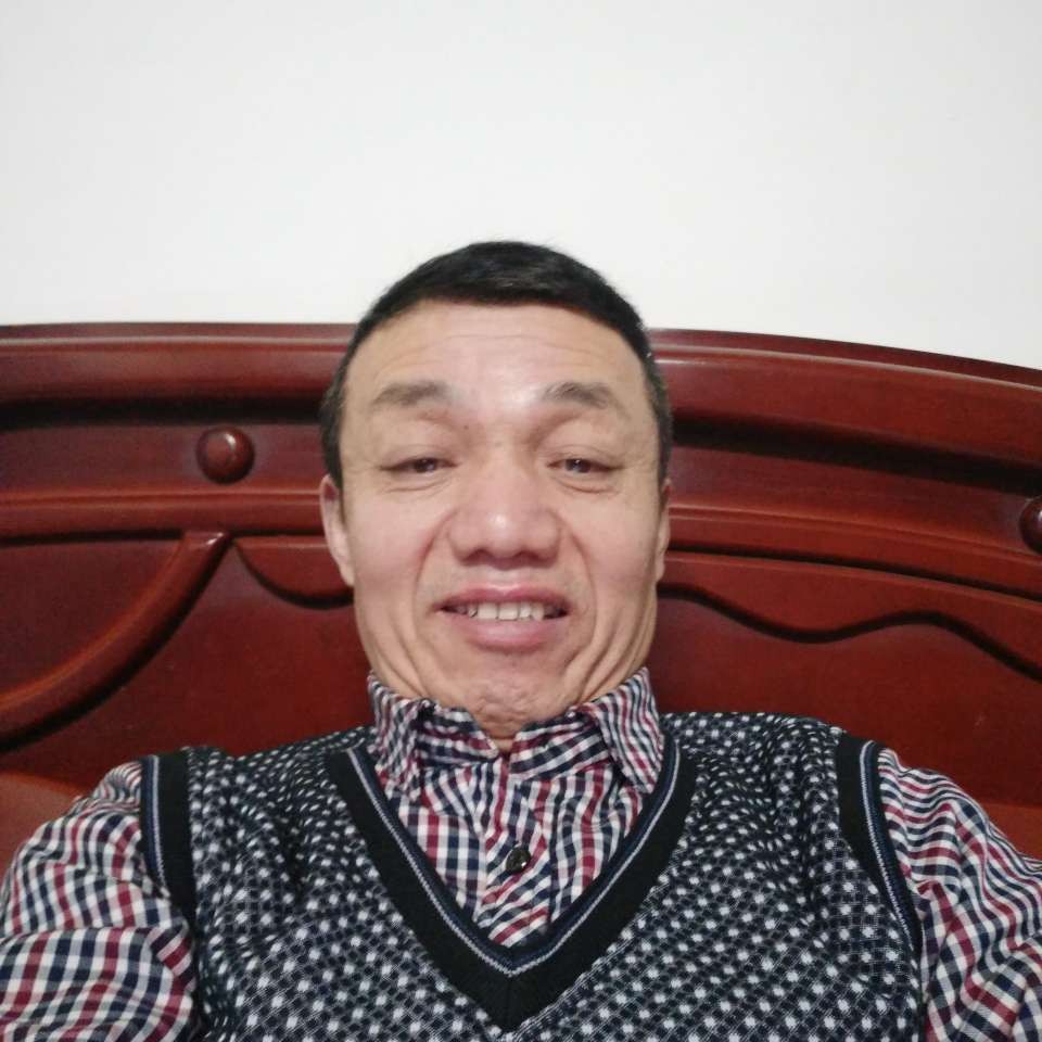 蛋挞打认真的照片