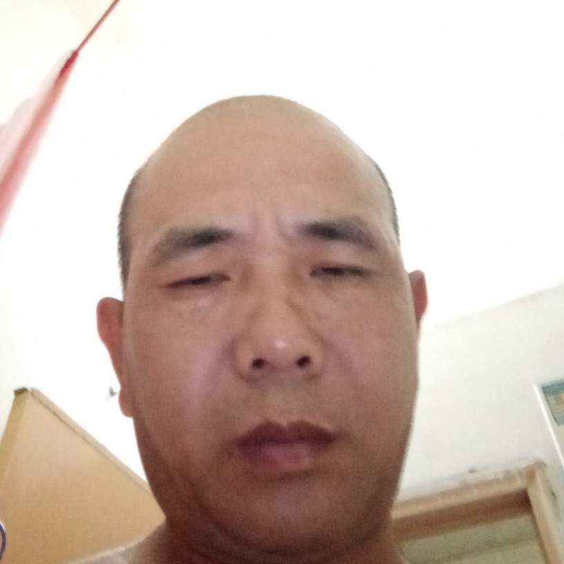 拼搏深拥犀牛的照片