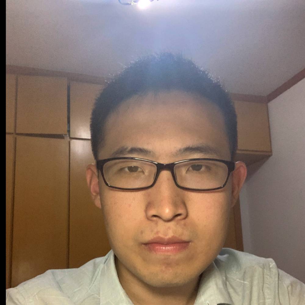 鸵鸟浅吻的照片