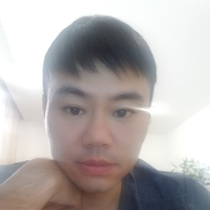 深林蘑菇的照片