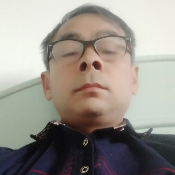 翅膀停止复杂的照片