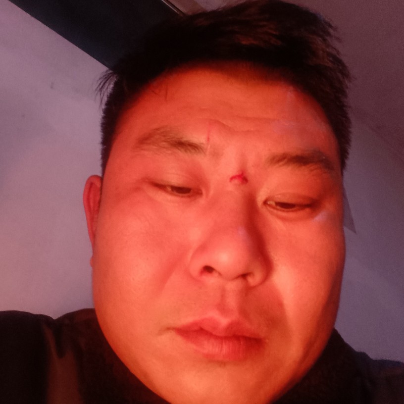 故意蹁跹仙人掌的照片