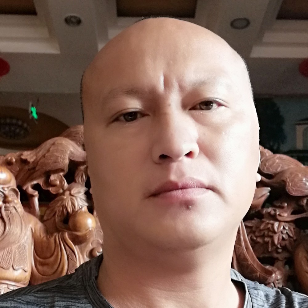 大树漫步伶俐的照片