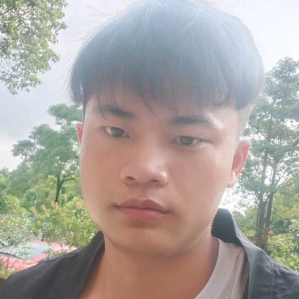 完美有含羞草的照片