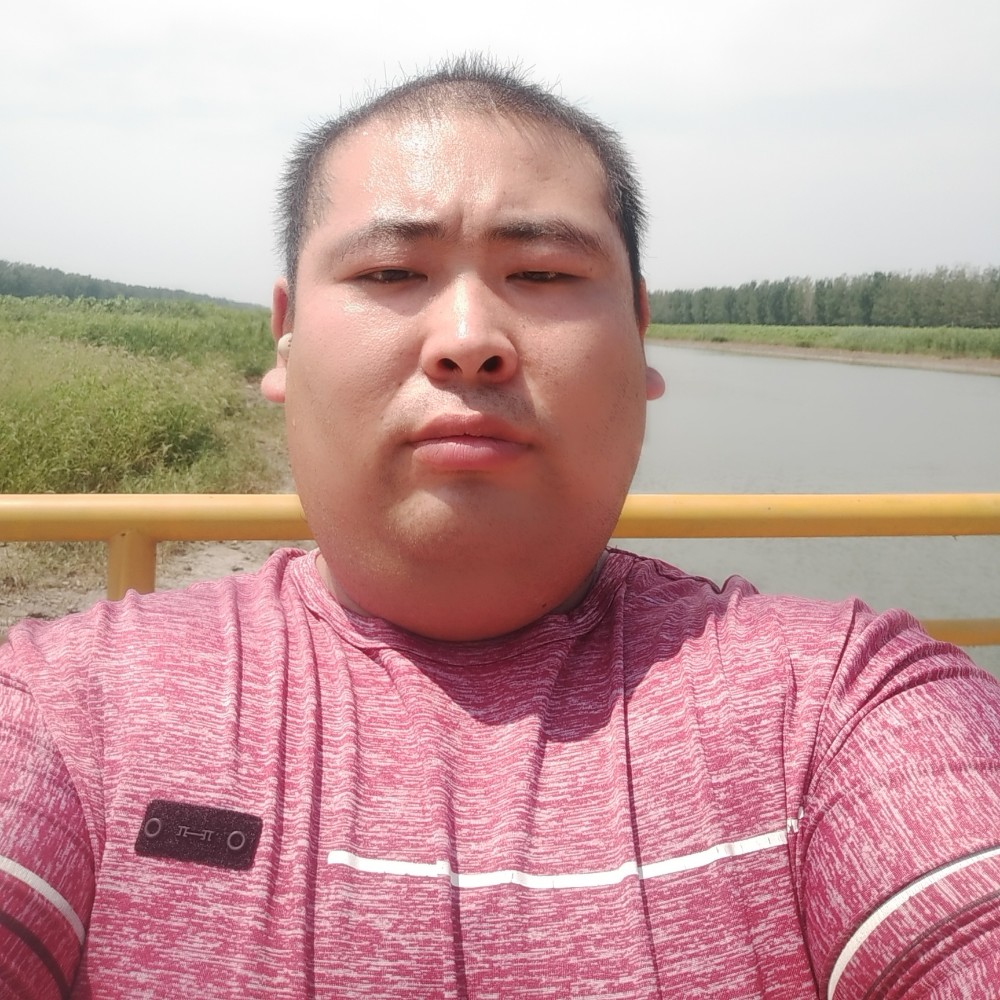 肥龙，的照片