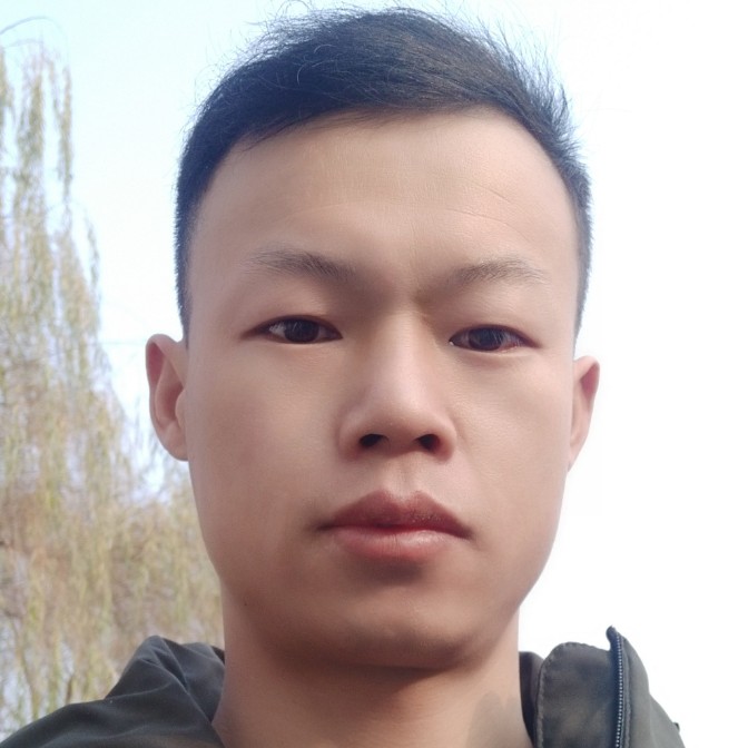 精明老鼠的照片