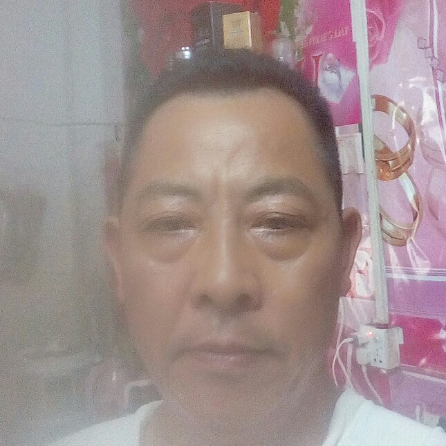 仙人掌虚心的照片