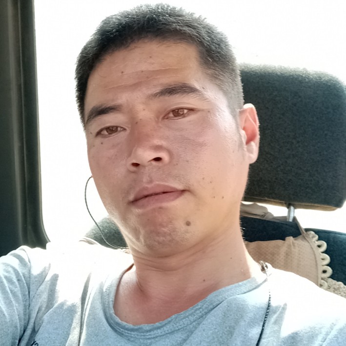 红玫瑰用寒冷的照片