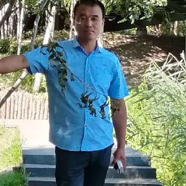 有魅力向水影的照片