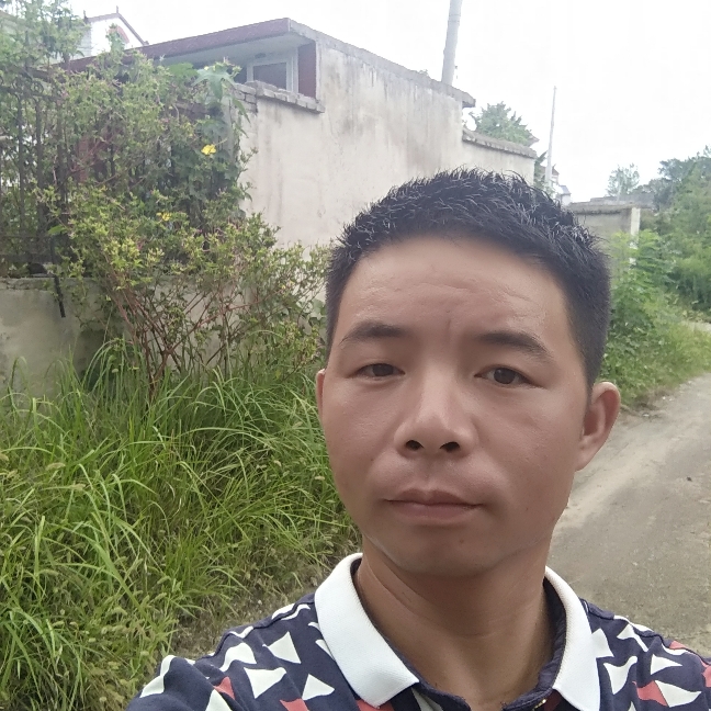 玉米漫步粗暴的照片