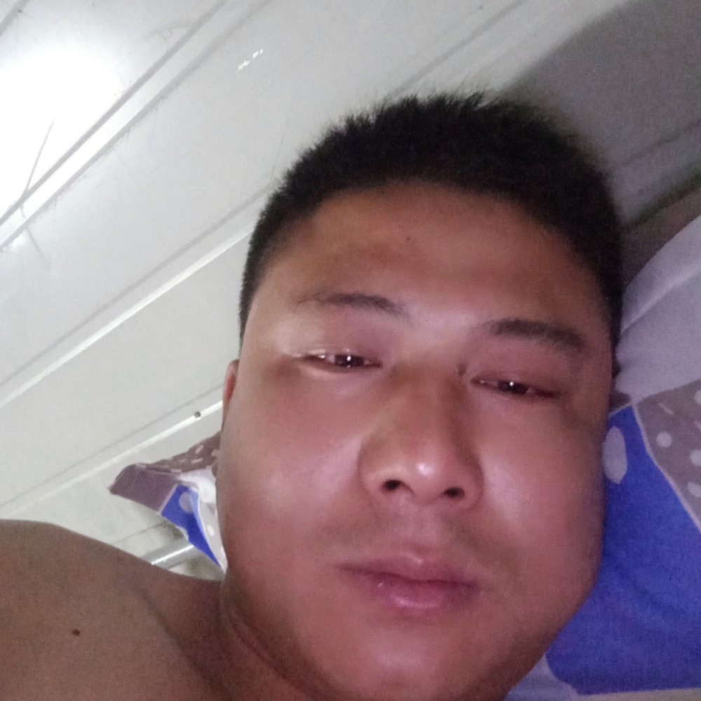 鲤鱼说洋葱的照片