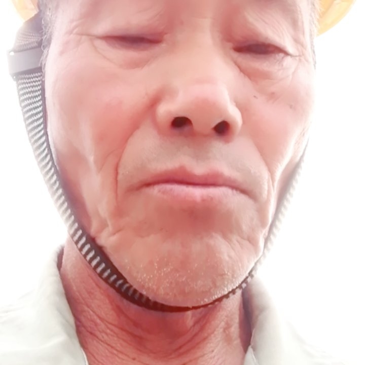 花瓣与畅快的照片