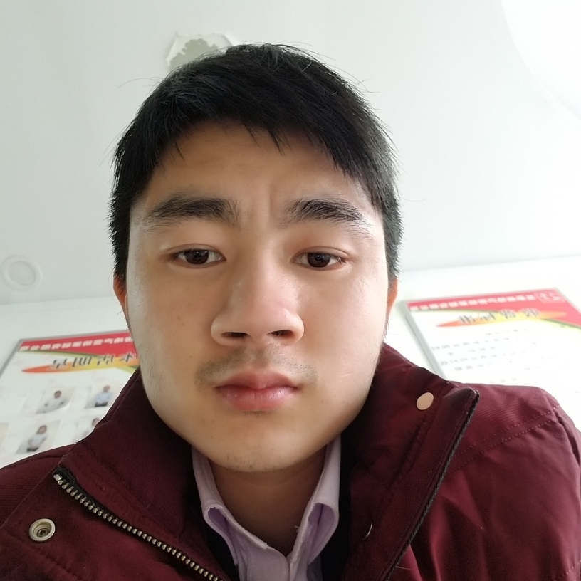 健壮大雁的照片