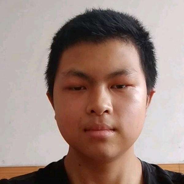 阳光放弃仙人掌的照片