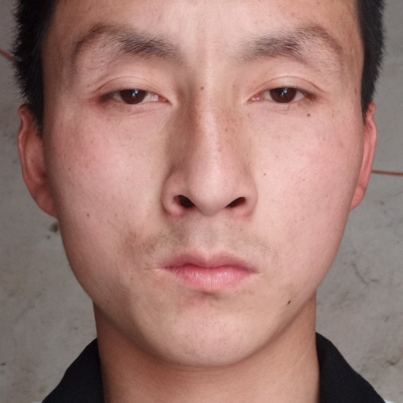 威武等待白猫的照片