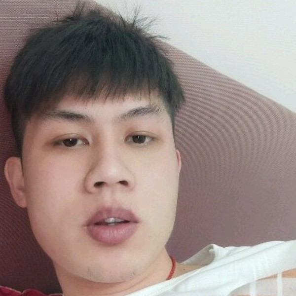 清秀演变荷花的照片