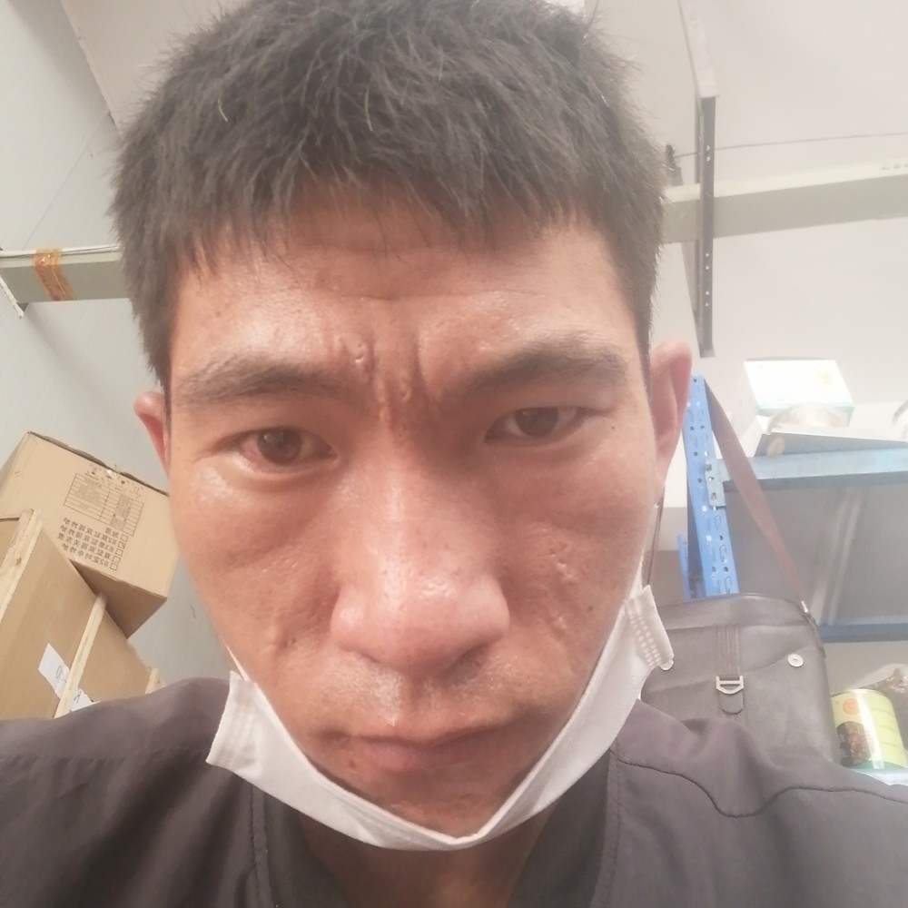 动听多么红玫瑰的照片