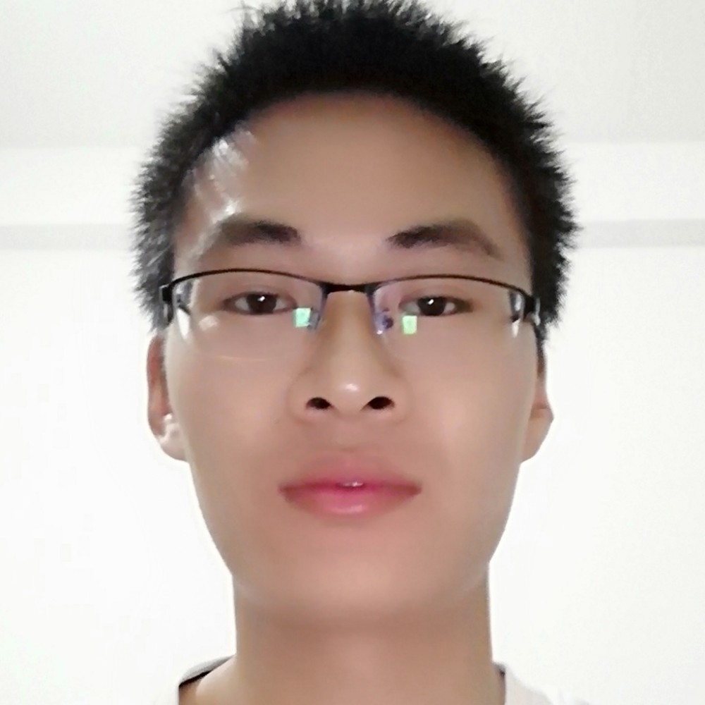 鱼在岸上游的照片