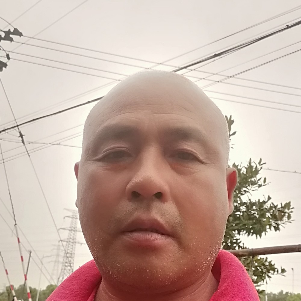幸福说羽毛的照片